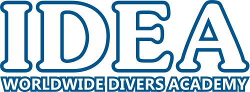 IDEA-WDA